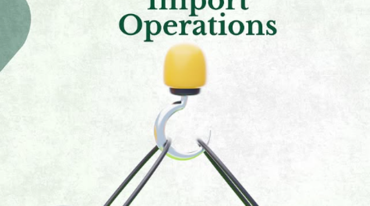 IMPORT AND EXPORT OPERATIONS